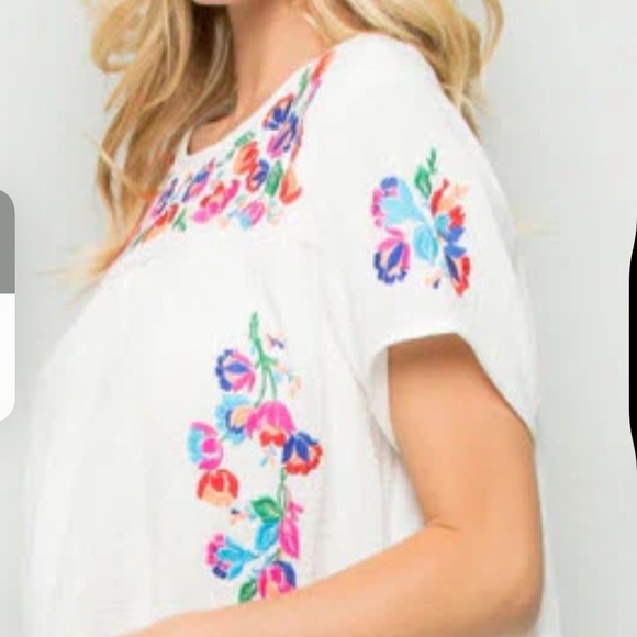 See and Be Seen On the Border embroidered cotton top Sz L - Picture 2 of 8